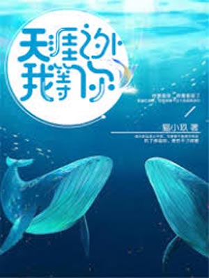 天涯之外我等你网剧